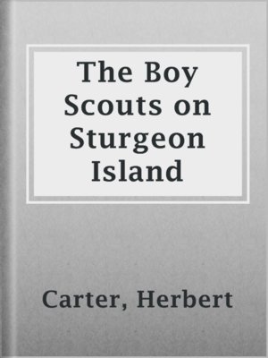 cover image of The Boy Scouts on Sturgeon Island